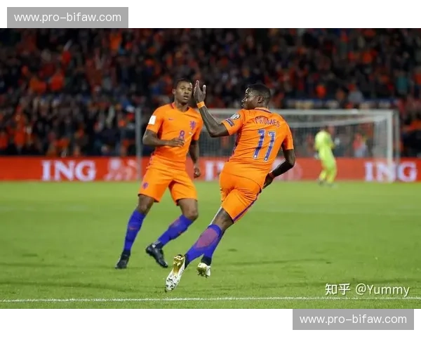 法国vs爱尔兰：欧洲杯预选赛焦点之战，谁将笑到最后？